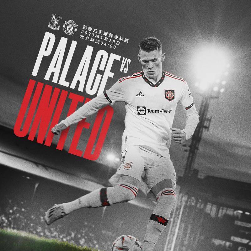 和观赏性 和观赏性