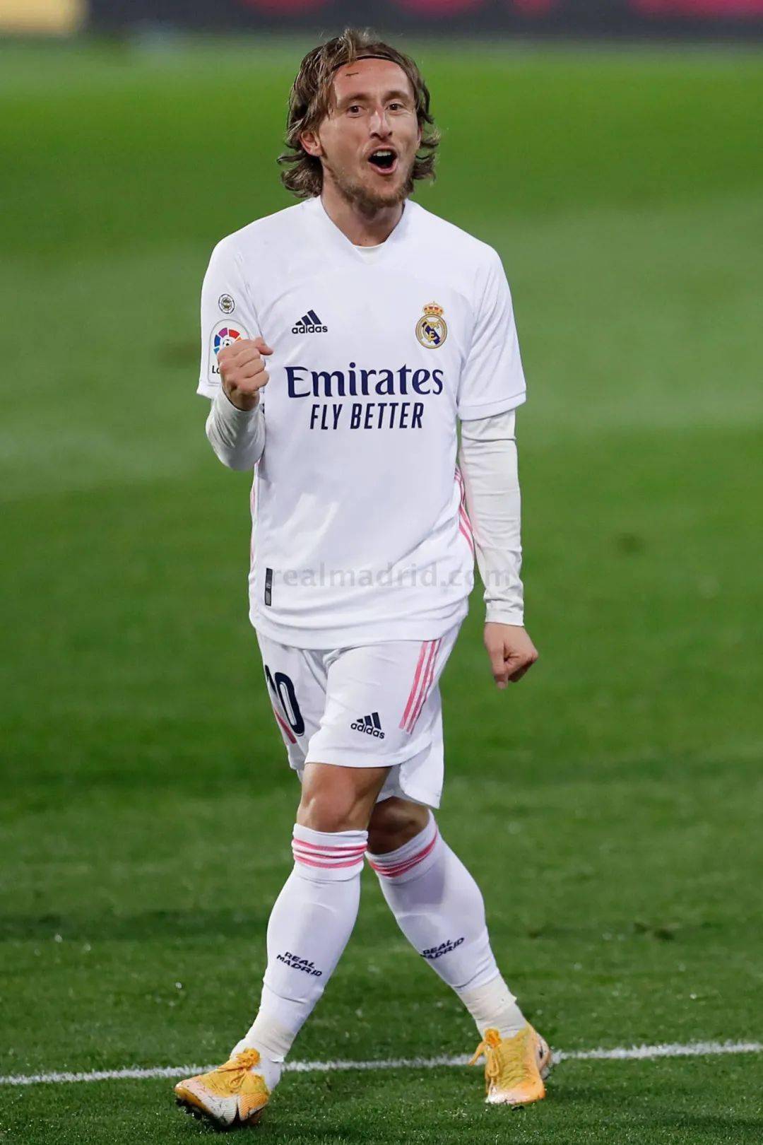 拟的氛围 拟的氛围